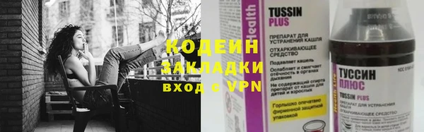 дживик Надым