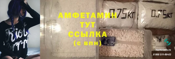 дживик Надым