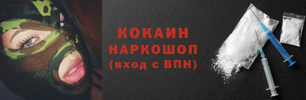 дживик Надым