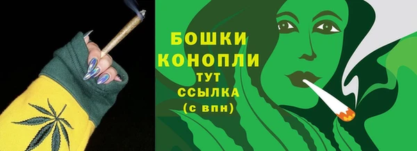 дживик Надым