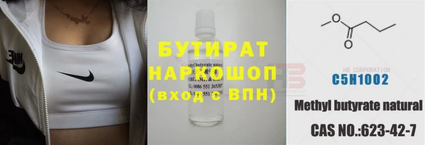 дживик Надым