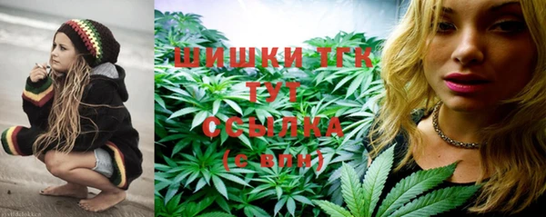 дживик Надым