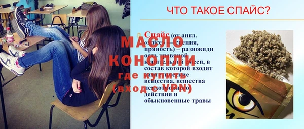дживик Надым