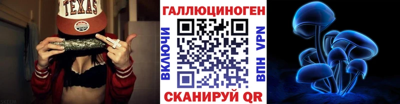 Псилоцибиновые грибы мицелий  mega как зайти  Хасавюрт  купить наркоту 